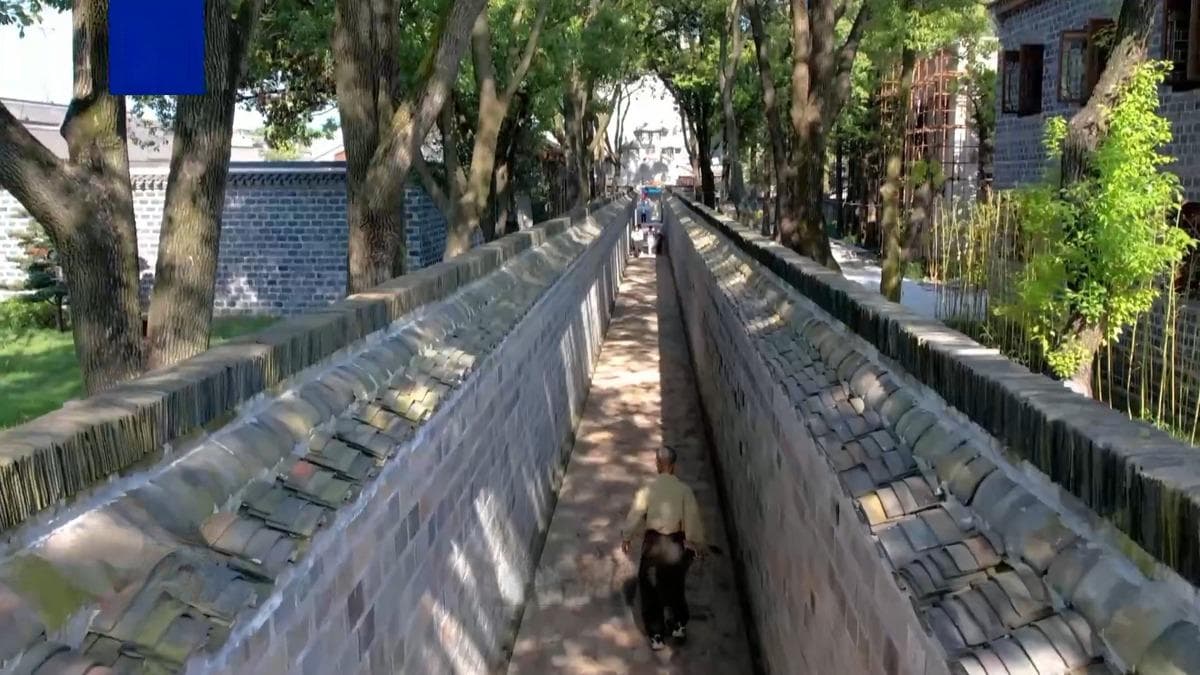 六尺巷：“礼让密钥”背后的秘密