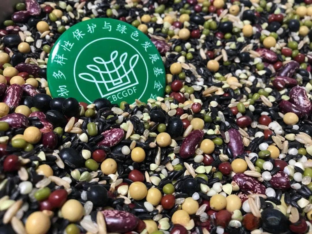 植物基食品标准出台，行业迎来规范化发展新阶段