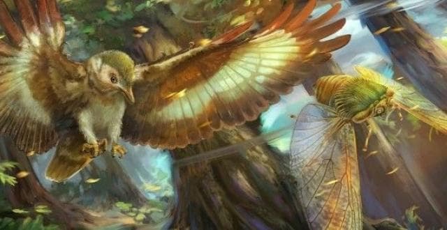 古蝉的“飞行竞赛”：中生代天空的进化奇迹