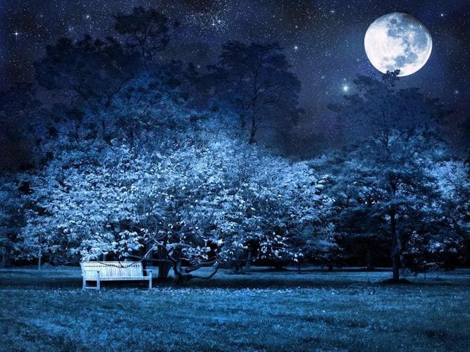 中秋夜最有诗意的唐诗，前14字写景很有意境，却不见一个“月”字