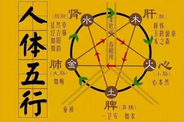 阴阳五行的概念及其深层含义解析
