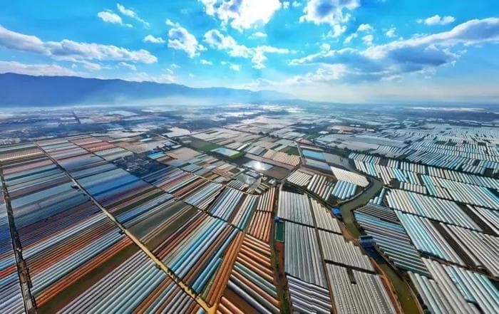 红河州：以改革推动产业转型升级实现新突破