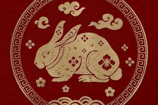 属兔与属蛇的婚姻配对：性格与五行的完美契合
