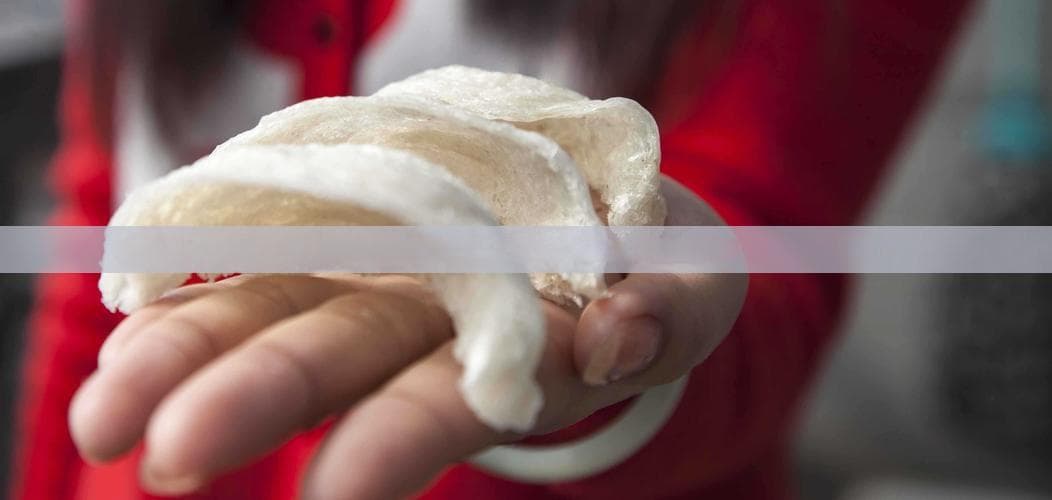 燕窝与鹿茸：功效特点、适用人群及价格对比分析