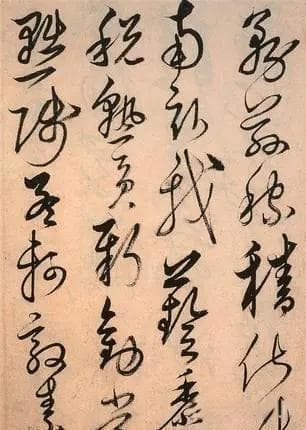 书法是汉字的专属吗？除了汉字外，其他语言文字有书法艺术吗？
