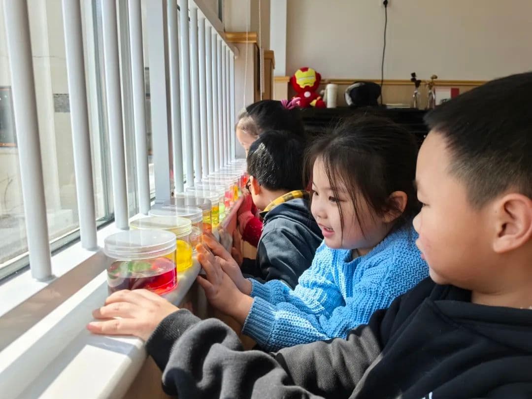 惊艳！AIE实验让幼儿园变身梦幻水族馆