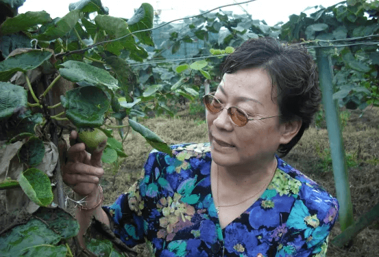 “上海奶奶”沈翠英追思纪念活动举行