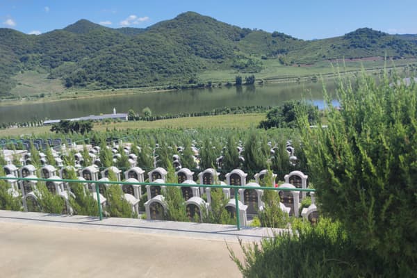 沈阳墓园的安葬方式：多样选择，承载不同情感