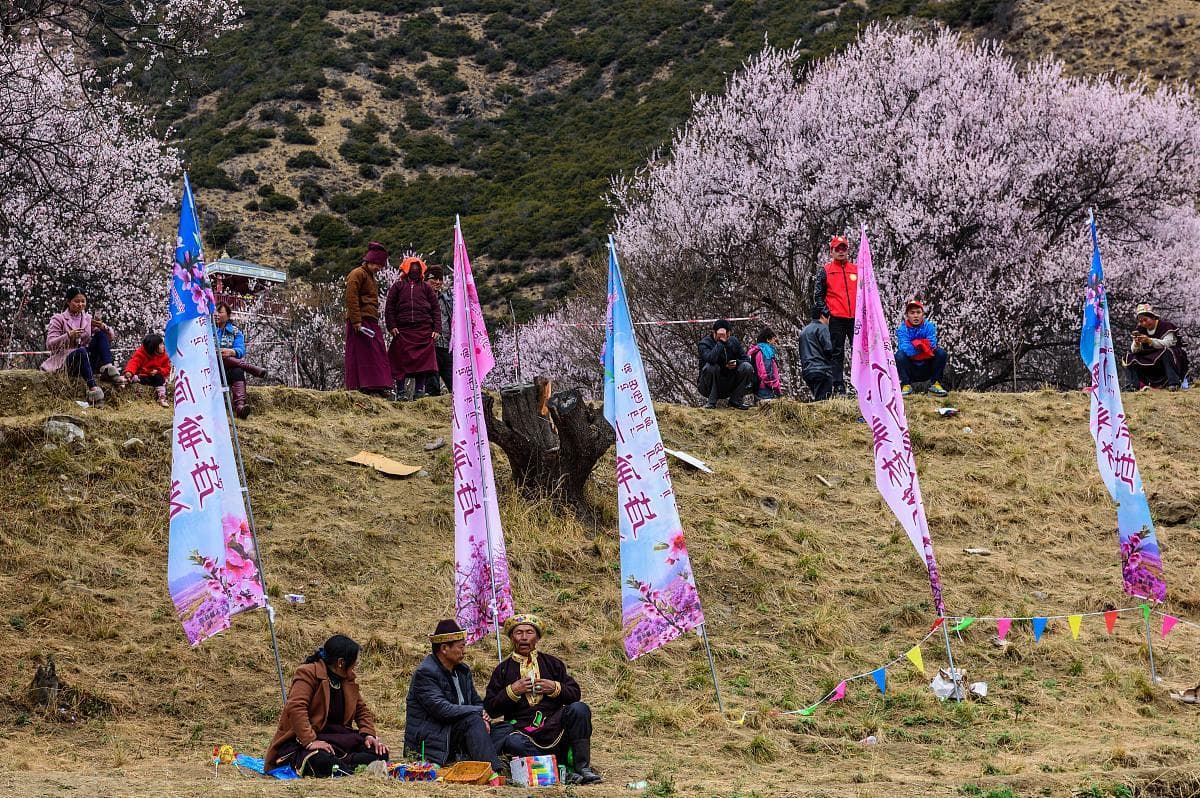 走进甘南：夏季三大藏族节日与文化体验完整指南