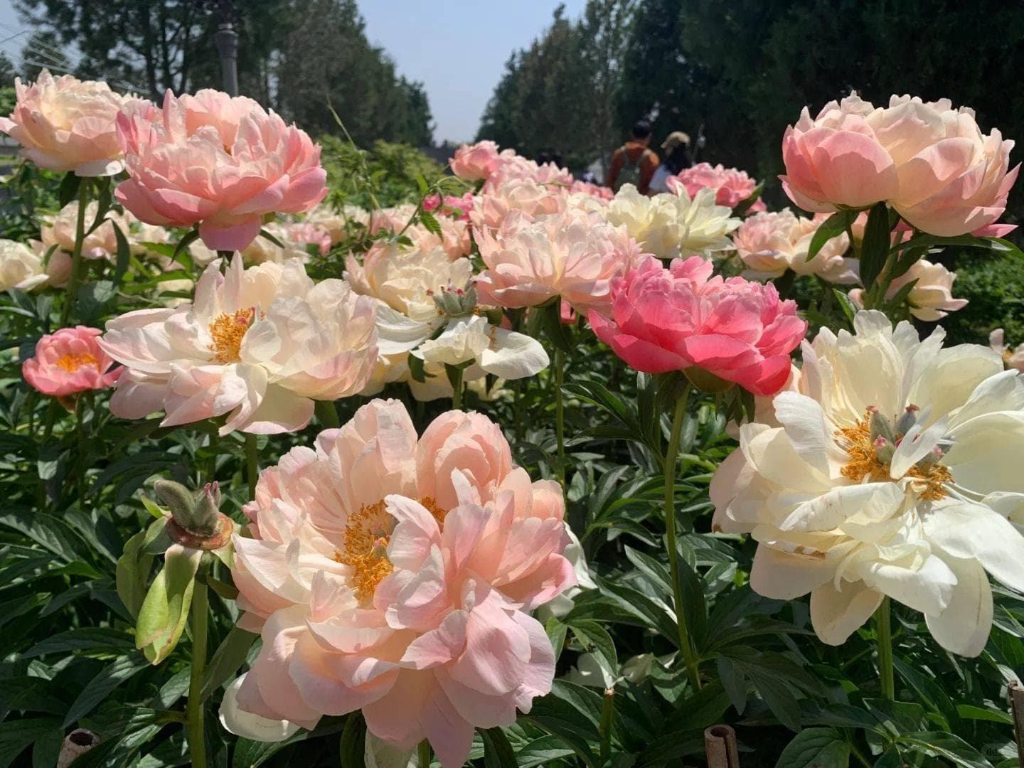 洛阳旅游攻略：各区景点全览