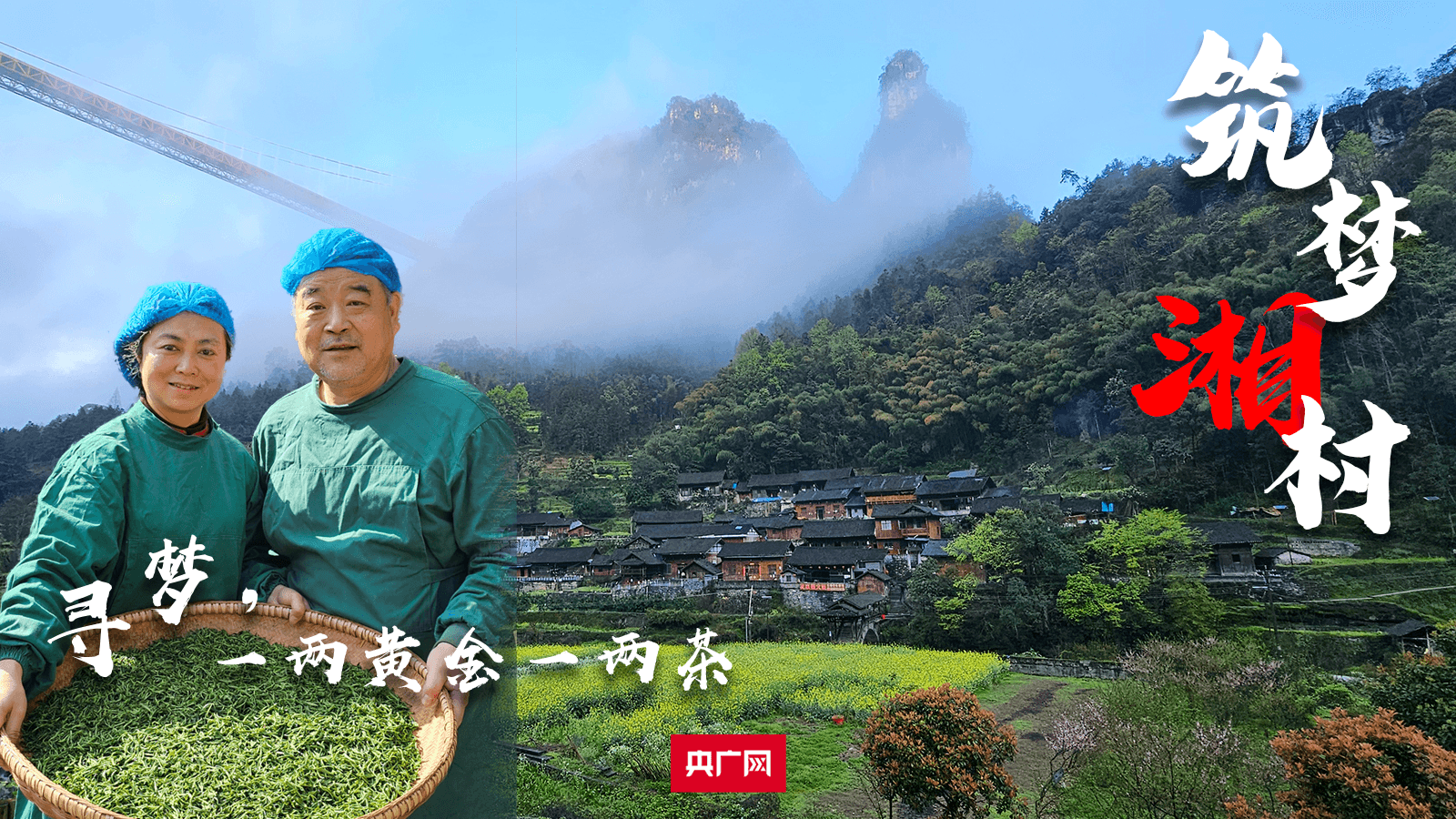筑梦“湘”村｜寻梦，一两黄金一两茶