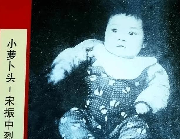 课本里的小萝卜头：8个月大就被抓，9岁时牺牲，后来家人如何？