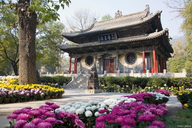 太原春季旅游攻略：赏花胜地、美食推荐及实用贴士