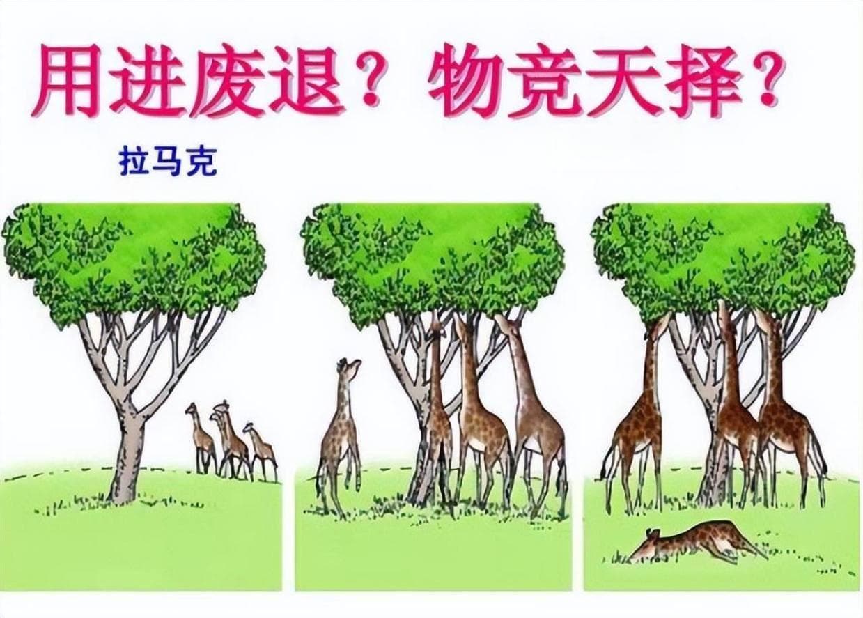 深层解读进化论的前世今生，看看你对进化论有多少误解！