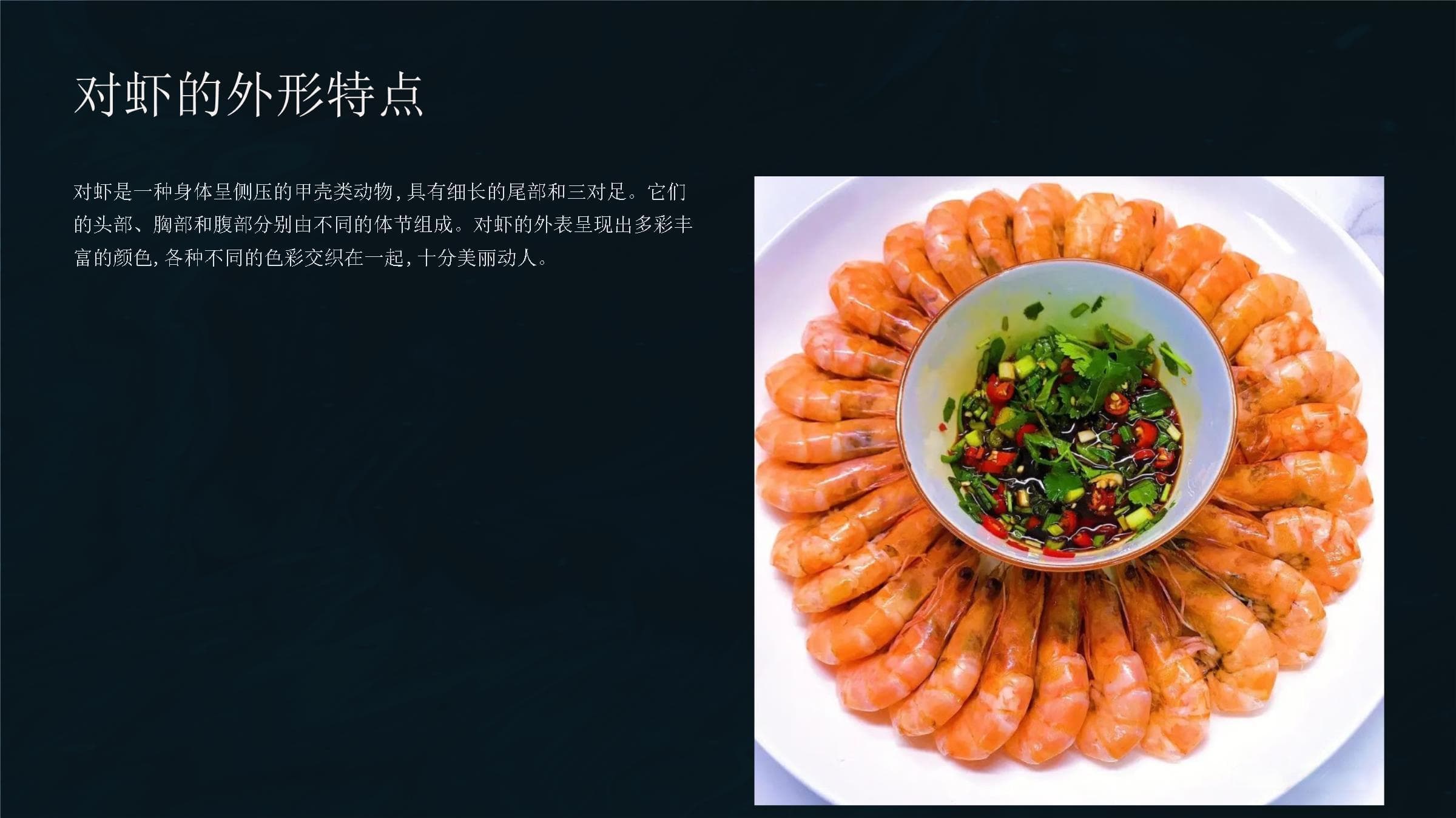 对虾的内部结构详解