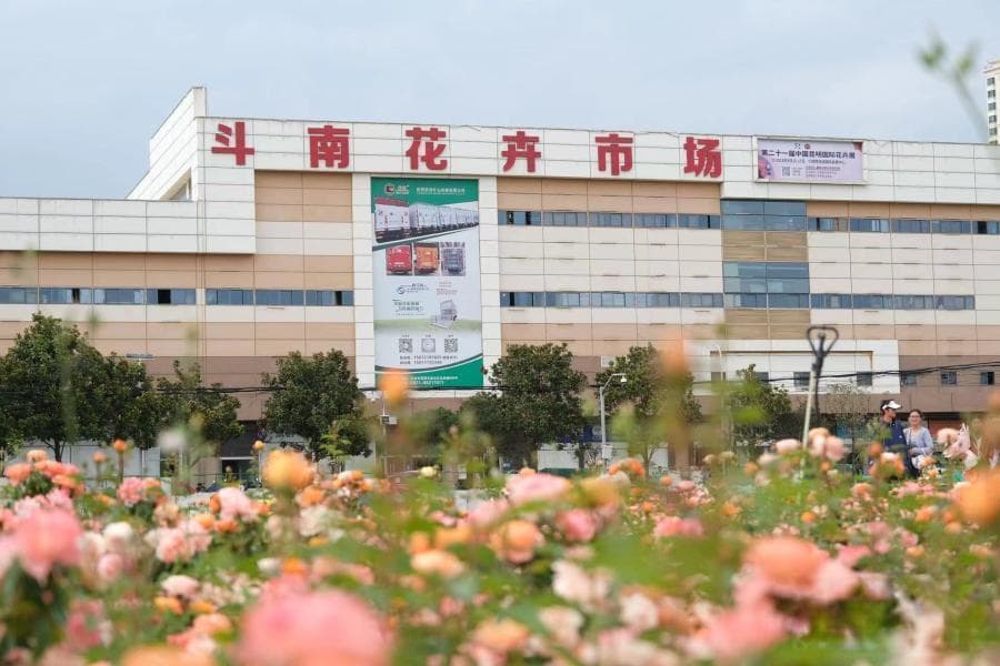 为了“一朵花”奔赴一座城 花旅融合让呈贡成“反向游”热门地