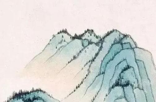 如何有效保养发财树避免黄叶问题 发财树养护秘诀轻松掌握