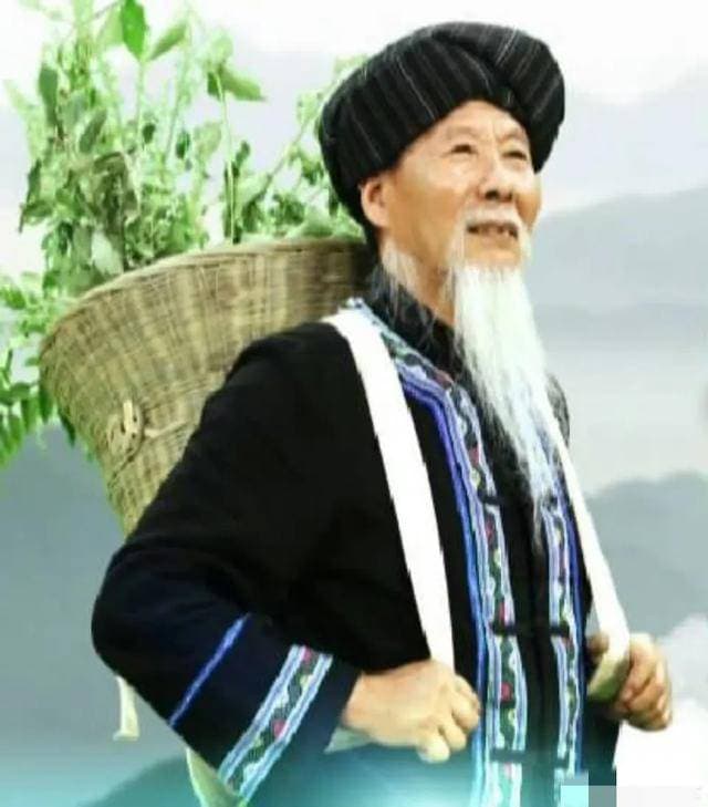 苗医“六大六小脉诀”详解