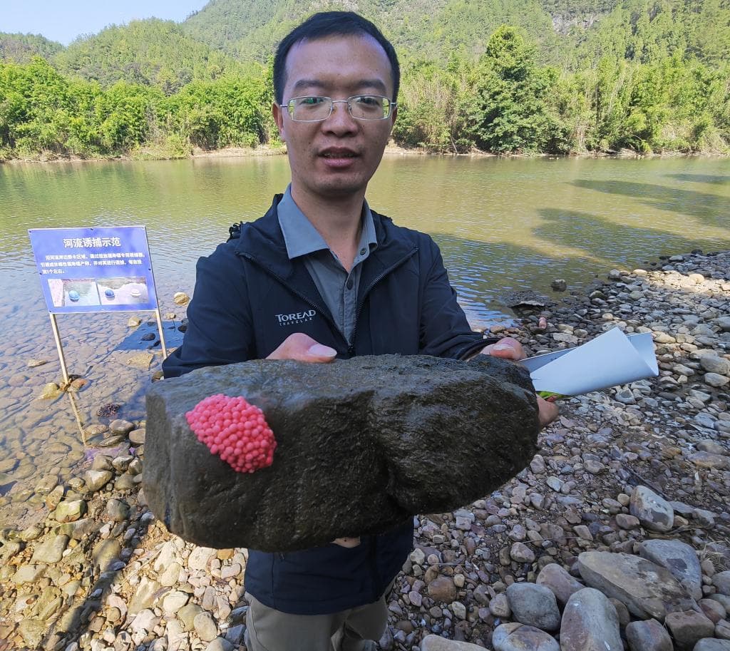贵州：科研人员指导村民联手治理外来入侵物种福寿螺