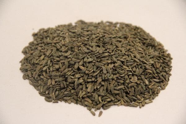 治疗胃强脾弱的最佳中药