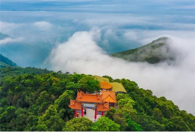 特色生态旅游的"观音山模式" ——广东观音山国家森林公园 ...