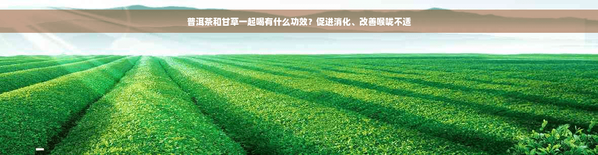 普洱茶和甘草一起喝有什么功效？促进消化、改善喉咙不适