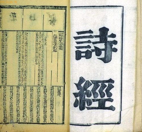 文字和语言因人为因素分离而出现文言文，白话小说在唐朝初现雏形