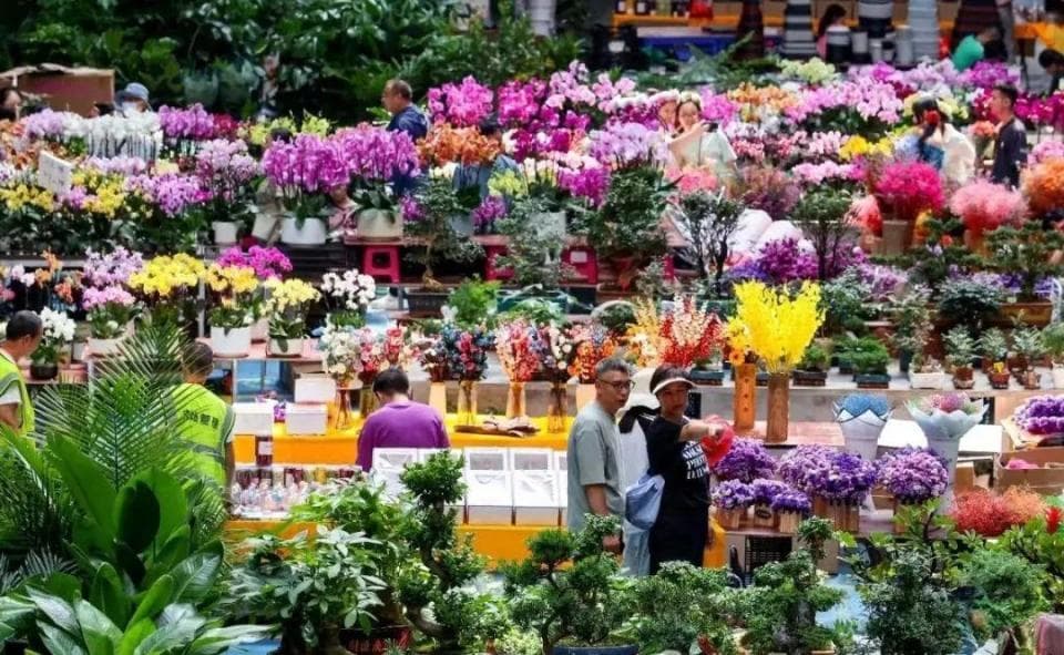 花漾斗南 向美而行 | 昆明呈贡斗南鲜切花交易市场有哪些环保亮点？