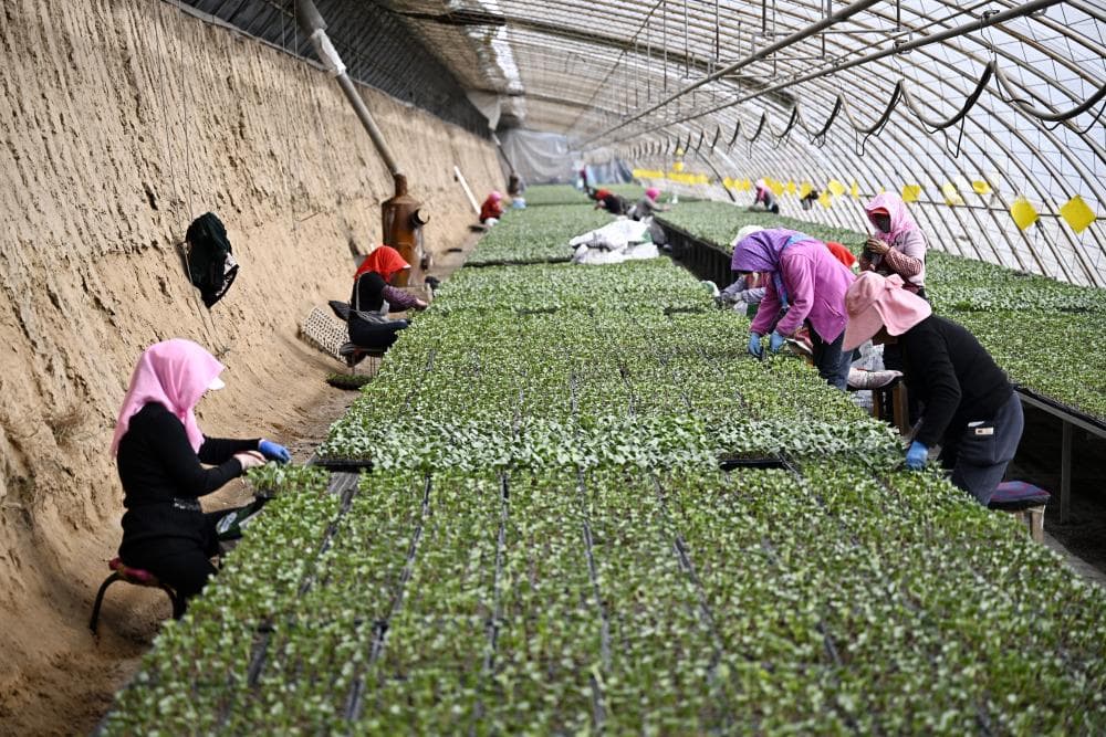 人勤春来早 抢抓农时备春耕——看全国各地积极开展春耕备耕工作