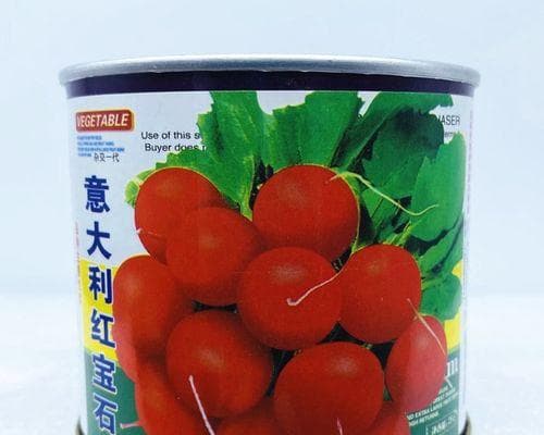 如何留种樱桃萝卜？（掌握这些关键步骤，享受丰收的乐趣）