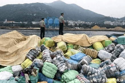 拒绝洋垃圾 你我共行动