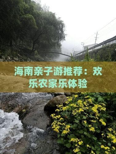 海南亲子游推荐：欢乐农家乐体验