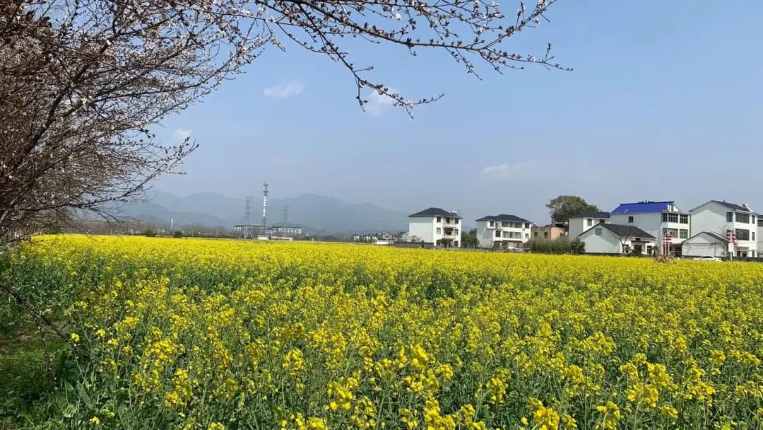 季节更迭，气温“过山车”，如何科学防病？