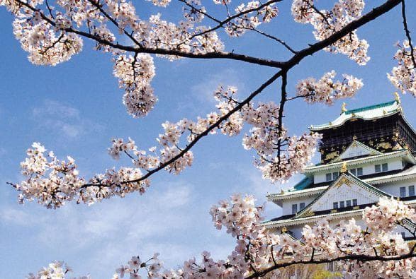 日本面临重大灾难，专家警告：一旦发生，损失惨重不可估量！