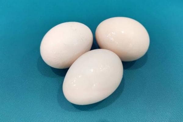 活珠子有营养吗？食用禁忌全解析