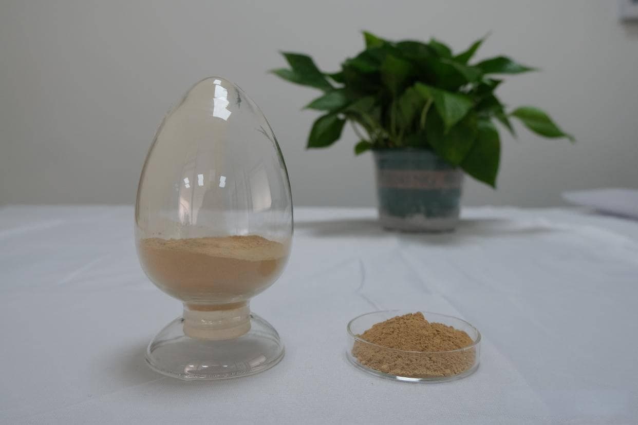 菌种是什么？有什么主要的作用