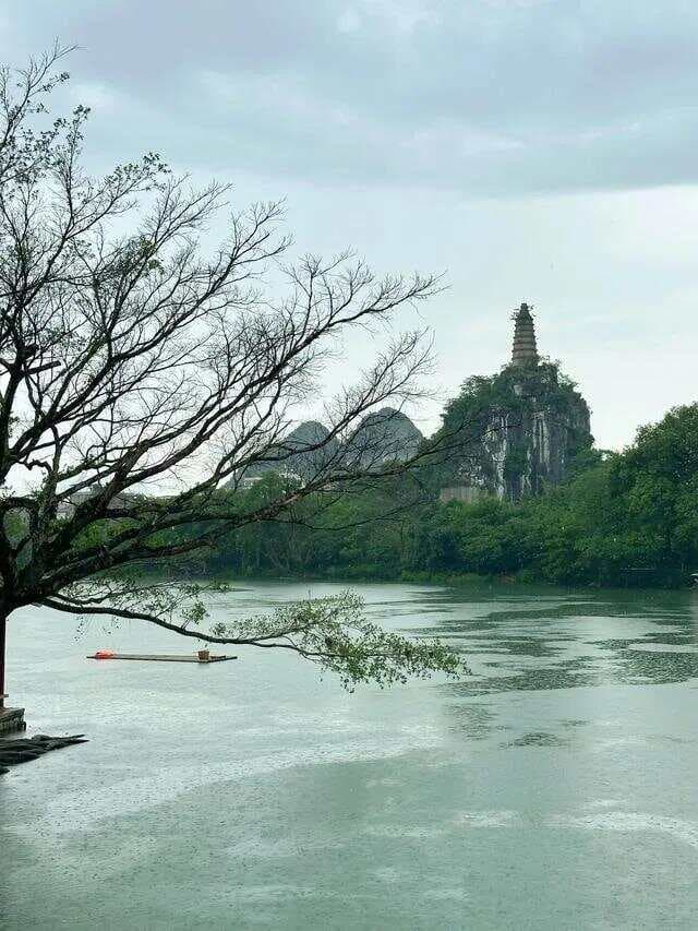 解读“不怕青龙高万丈，只怕白虎抬头望”：从风水俗语到民俗观念