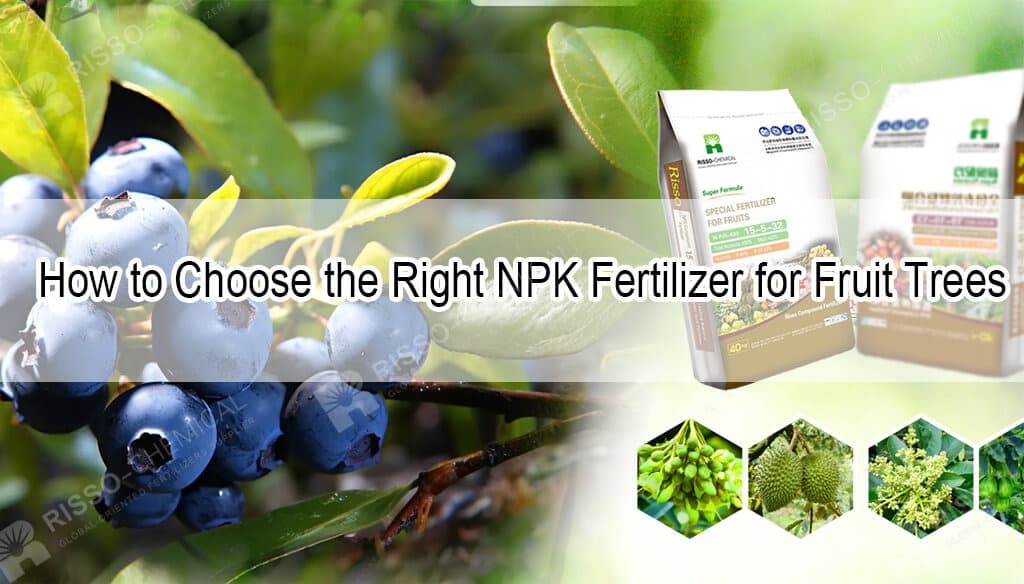 如何为果树选择合适的 NPK 肥料？