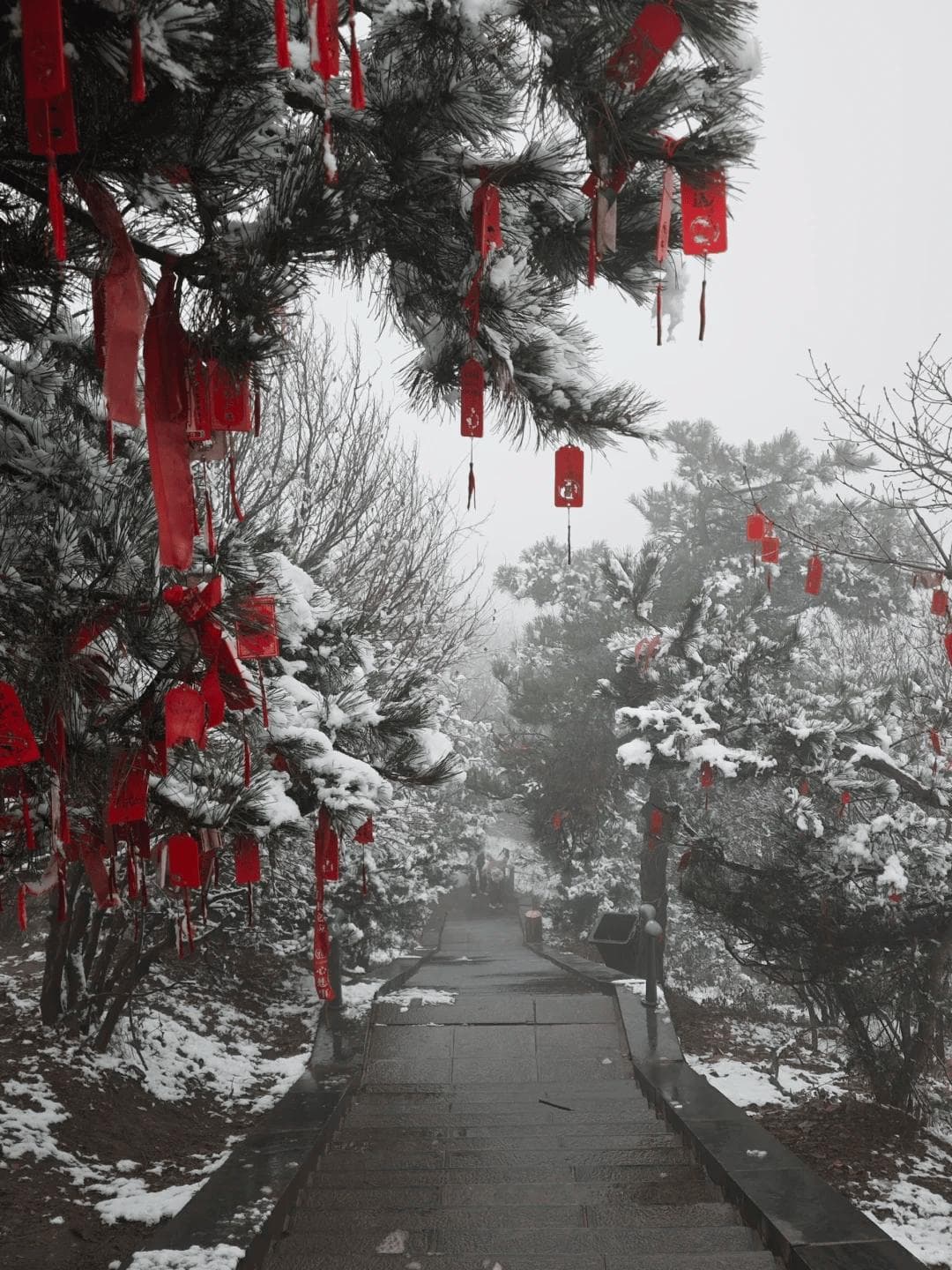 郑州周边15个冬游好去处！赏雪、滑雪、爬山、自驾...