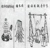 清代中医的发展历程与重要成就