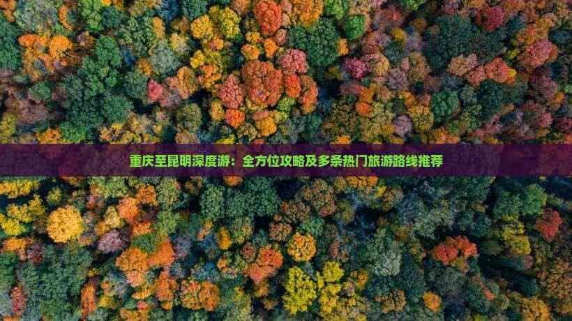 重庆至昆明深度游：全方位攻略及多条热门旅游路线推荐