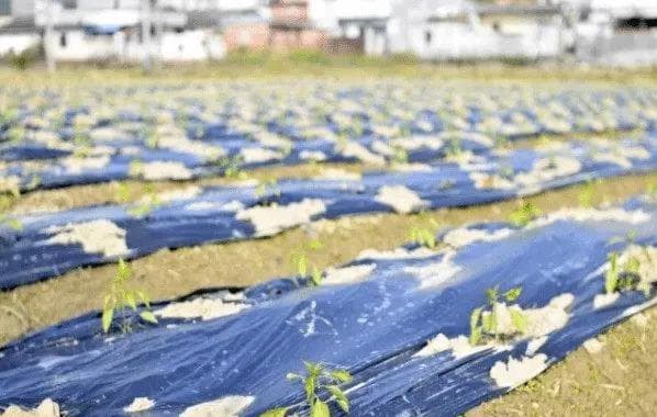 农业地膜覆盖技术与春耕备耕指南