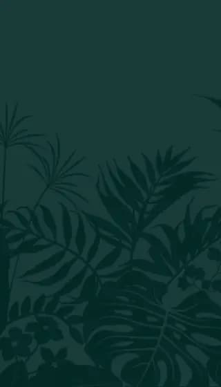 揭秘永生水母：一种能逆转生命的神奇生物