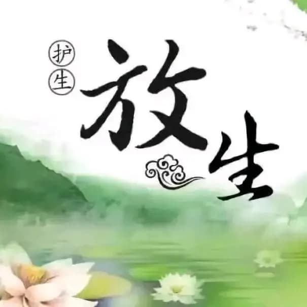 如何做善事：日常生活中的21种行善方式