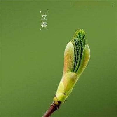 立春是春天的开始吗？从节气到气候的全面解读