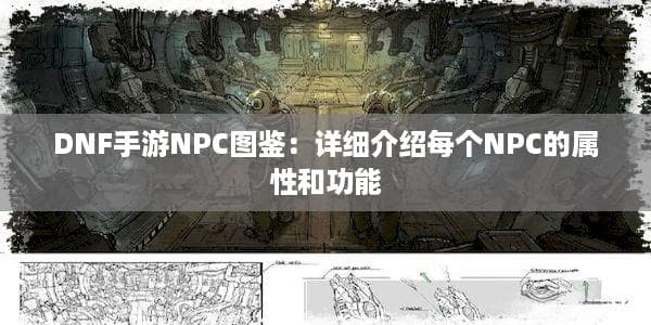 DNF手游NPC图鉴：详细介绍每个NPC的属性和功能