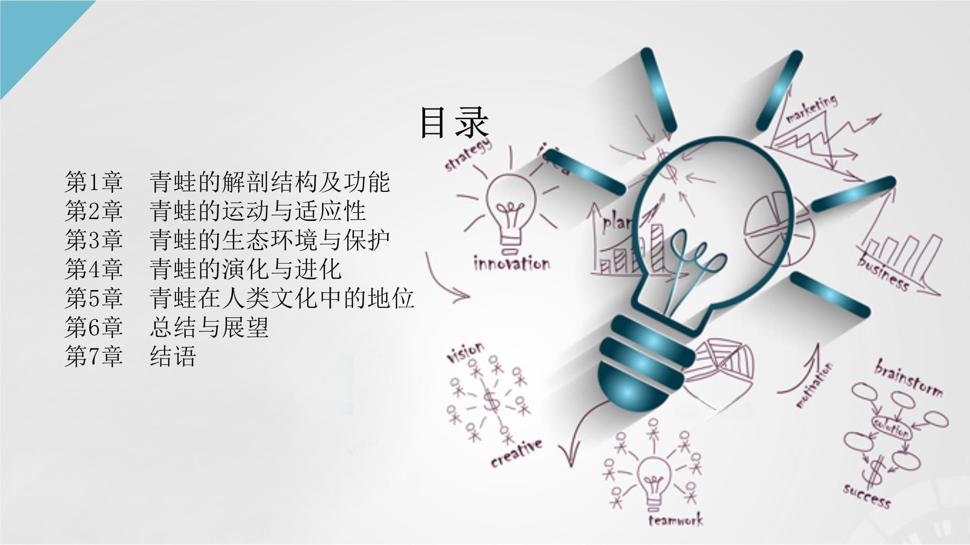 青蛙的解剖结构及功能