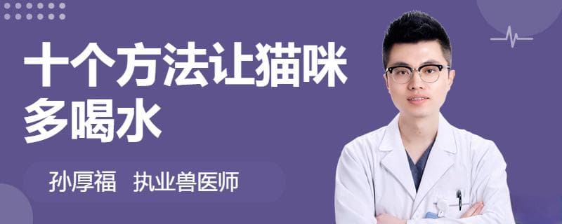 十个方法让猫咪多喝水
