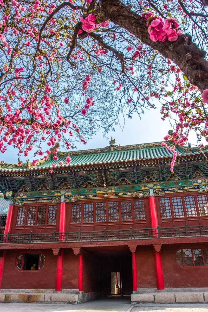 长治文物古建游！跟着“悟空”开启你的线下副本