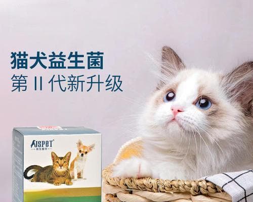 宠物狗的益生菌保健指南（掌握狗狗健康）